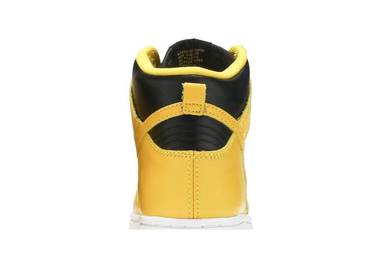 Nike Dunk High Iowa (2020) (PS)