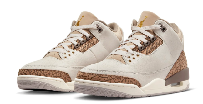 Air Jordan 3 Retro 'Palomino' Sneaker (CT8532-102)