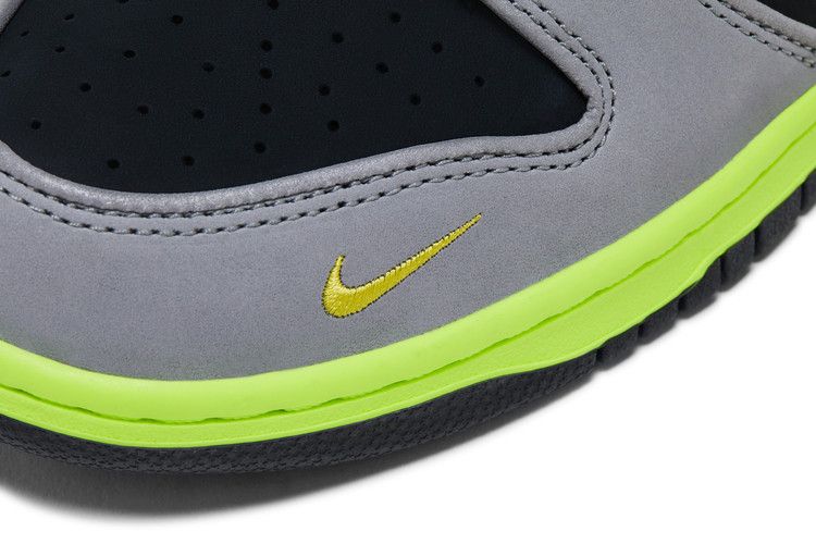 Nike Dunk Low What the Duck Home University of Oregon PE